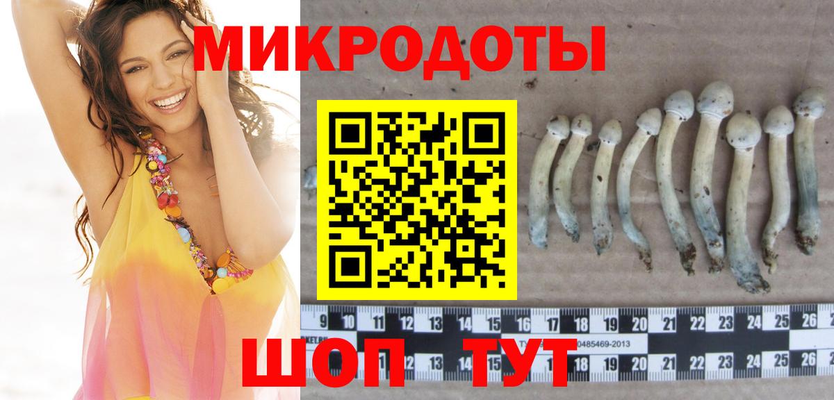 Галлюциногенные грибы Psilocybe Азов